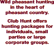 Wild pheasant hunting in the